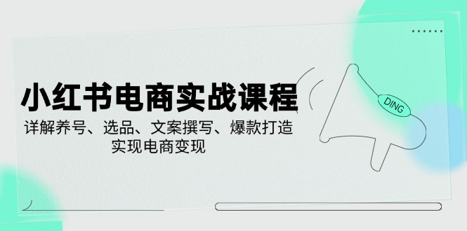 小红书电商实战课程，详解养号、选品、文案撰写、爆款打造，实现电商变现-苍穹网创