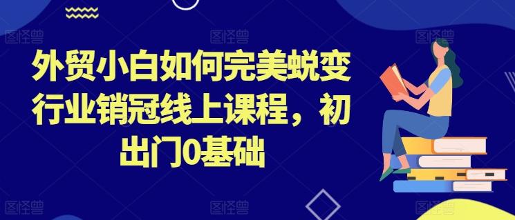 外贸小白如何完美蜕变行业销冠线上课程，初出门0基础-苍穹网创
