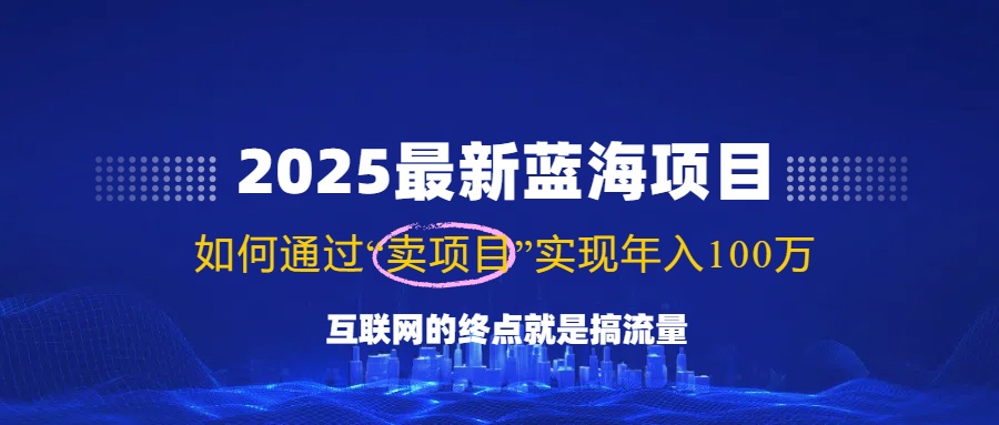 2025最新蓝海项目，零门槛轻松复制，月入10万+，新手也能操作！-苍穹网创