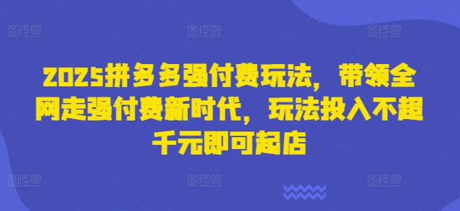 2025拼多多强付费玩法，带领全网走强付费新时代，玩法投入不超千元即可起店-苍穹网创