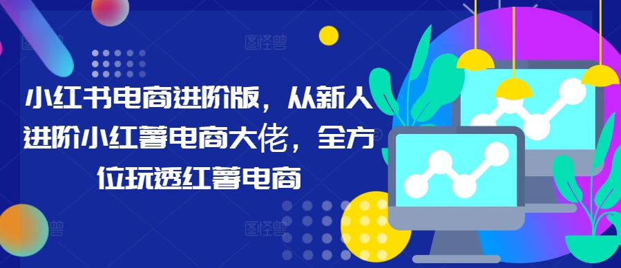 小红书电商进阶版，从新人进阶小红薯电商大佬，全方位玩透红薯电商-苍穹网创