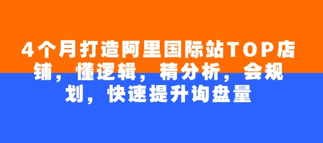 4个月打造阿里国际站TOP店铺，懂逻辑，精分析，会规划，快速提升询盘量-苍穹网创