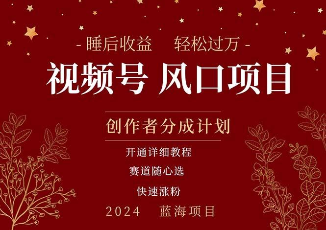 拥有睡眠收益的微信视频号大风口项目，轻松月入过万+，多赛道选择，可…-苍穹网创