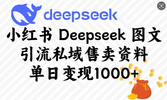 小红书Deepseek图文引流私域售卖资料，单日变现多张-苍穹网创