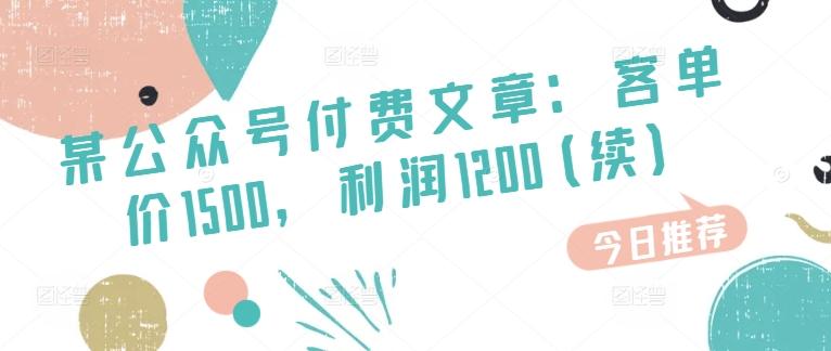 某公众号付费文章：客单价1500，利润1200(续)，市场几乎可以说是空白的-苍穹网创