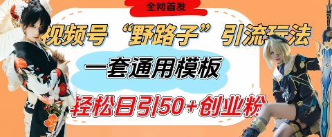 视频号“野路子”玩法，评论区疯狂截流，一套模板单日单号引流50+创业粉-苍穹网创