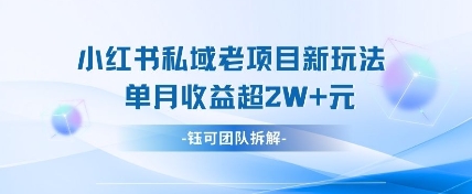 小红书私域项目新玩法，单月变现过W+-苍穹网创