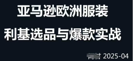 跨境电商选品案例24-25年，聚焦跨境电商选品策略与运营优化，助力卖家挖掘蓝海市场-苍穹网创