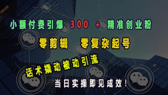 小额付费引爆 300 + 精准创业粉，零剪辑、零复杂起号，话术撬动被动引流，当日实操即见成效-苍穹网创