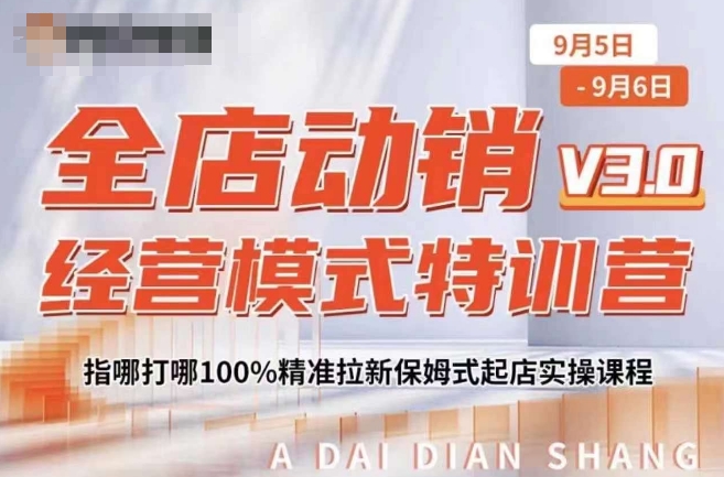 全店动销经营模式特训营，指哪打哪100%精准拉新保姆式起店实操课程-苍穹网创