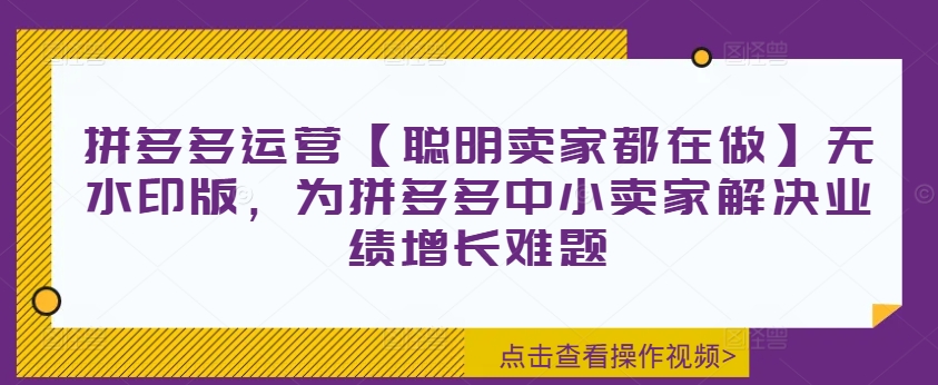 拼多多运营【聪明卖家都在做】无水印版，为拼多多中小卖家解决业绩增长难题-苍穹网创