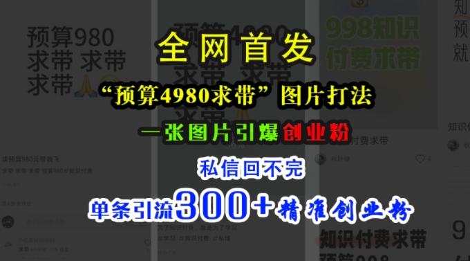 小红书“预算4980带我飞”图片打法，一张图片引爆创业粉，私信回不完，单条引流300+精准创业粉-苍穹网创