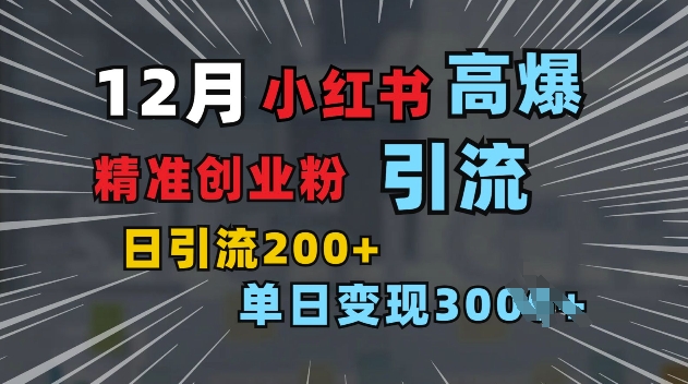 小红书一张图片“引爆”创业粉，单日+200+精准创业粉 可筛选付费意识创业粉【揭秘】-苍穹网创