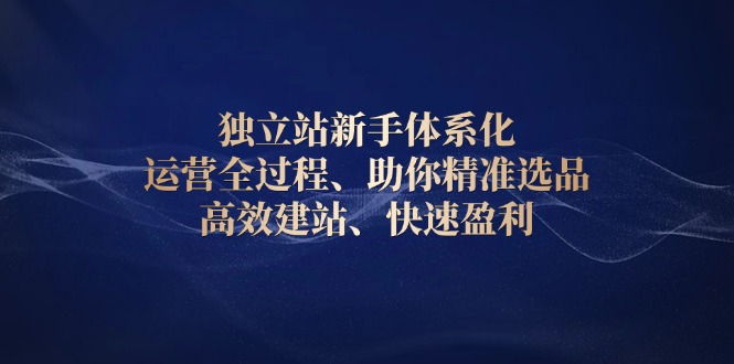 独立站新手体系化 运营全过程，助你精准选品、高效建站、快速盈利-苍穹网创