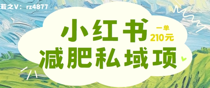 小红书减肥粉，私域变现项目，一单就达210元，小白也能轻松上手【揭秘】-苍穹网创