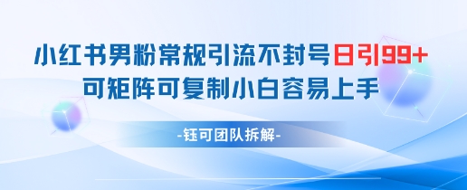 小红书男粉常规引流不封号日引99+变现简单 可矩阵可复制小白容易上手-苍穹网创