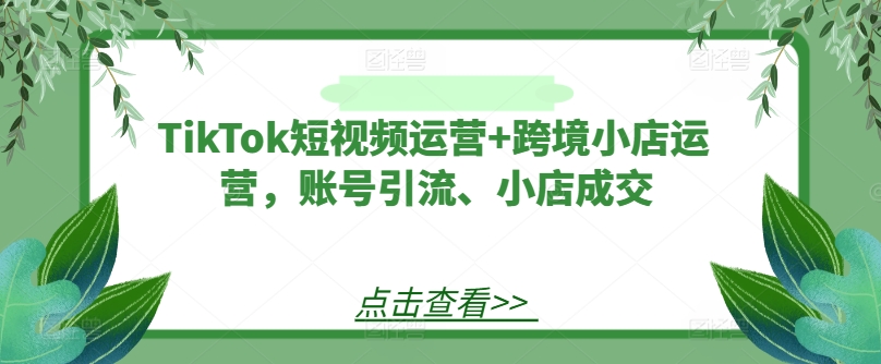 TikTok短视频运营+跨境小店运营，账号引流、小店成交-苍穹网创