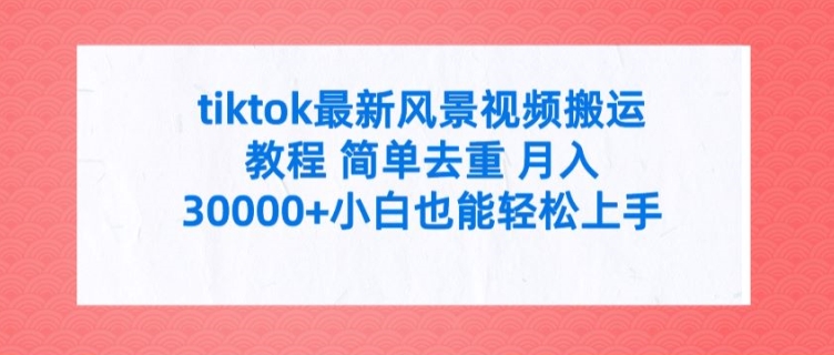 tiktok最新风景视频搬运教程 简单去重 月入3W+小白也能轻松上手【揭秘】-苍穹网创