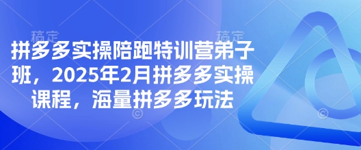 拼多多实操陪跑特训营弟子班，2025年2月拼多多实操课程，海量拼多多玩法-苍穹网创