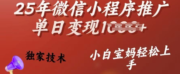 25年微信小程序推广单日变现多张，独家技术，小白宝妈轻松上手【揭秘】-苍穹网创