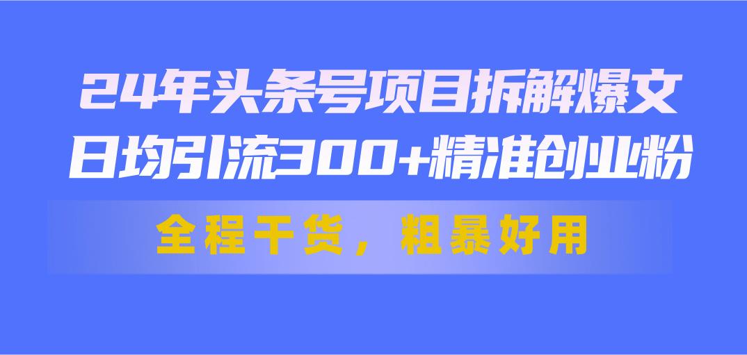24年头条号项目拆解爆文，日均引流300+精准创业粉，全程干货，粗暴好用-苍穹网创