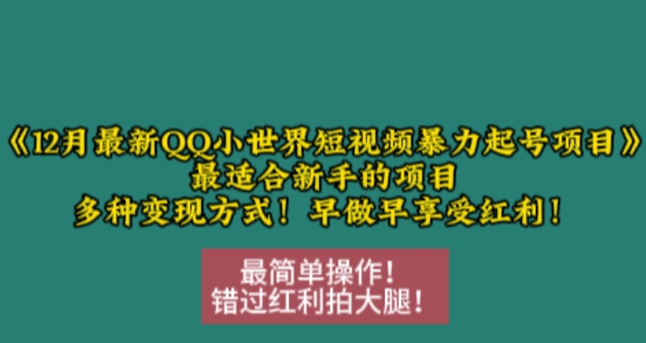 12月最新QQ小世界短视频暴力起号项目，最适合新手的项目，多种变现方式-苍穹网创