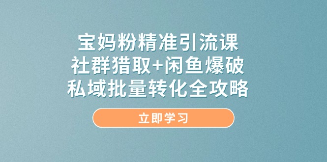 宝妈粉精准引流课，社群猎取+闲鱼爆破，私域批量转化全攻略-苍穹网创
