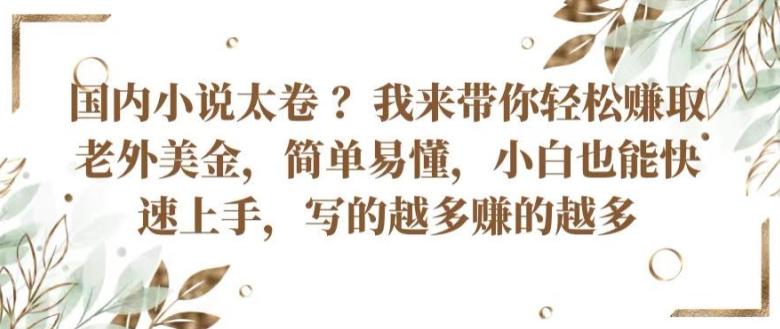 国内小说太卷 ?带你轻松赚取老外美金，简单易懂，小白也能快速上手，写的越多赚的越多【揭秘】-苍穹网创