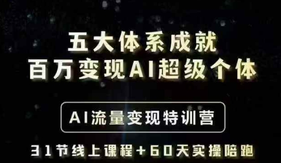五大体系成就百万变现AI超级个体- AI流量变现特训营，一步一步教你一个人怎么年入百W-苍穹网创