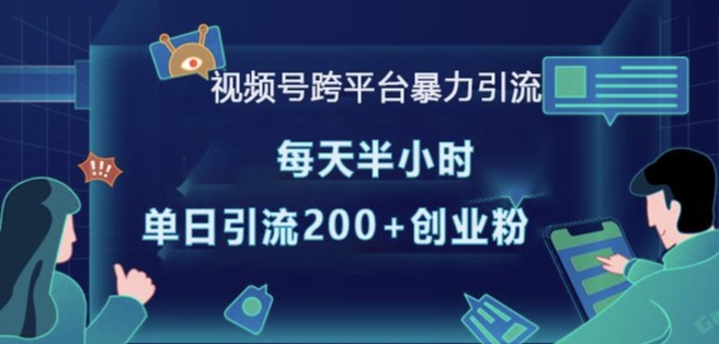 视频号跨平台暴力引流，每天半小时，单日引流200+精准创业粉-苍穹网创
