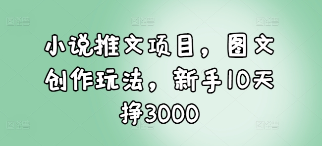小说推文项目，图文创作玩法，新手10天挣3000-苍穹网创