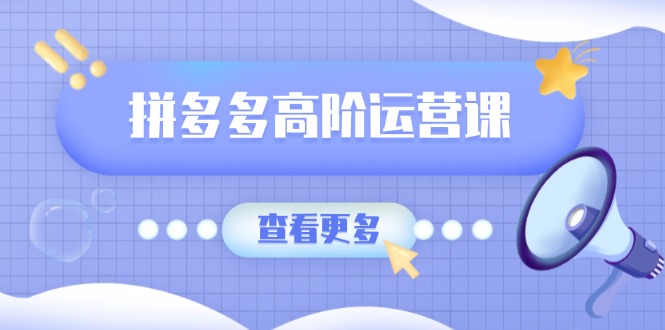 拼多多高阶运营课：极致群爆款玩法，轻付费无尽复制，打造单品爆款之路-苍穹网创
