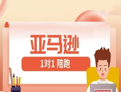 亚马逊1对1陪跑课(FBA/FBM精铺)跨境亚马逊教程-苍穹网创