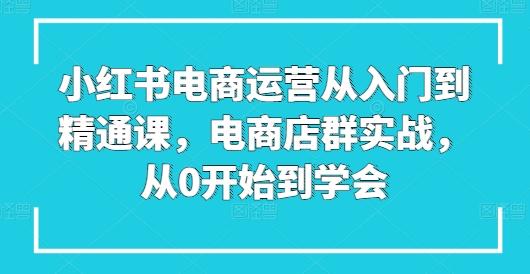 小红书电商运营从入门到精通课，电商店群实战，从0开始到学会-苍穹网创