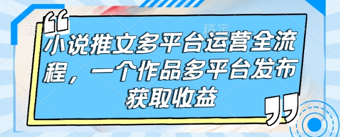 小说推文多平台运营全流程，一个作品多平台发布获取收益-苍穹网创