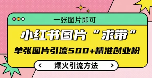 小红书图片‘求带’爆火引流法，单张图片引流500+精准创业粉【揭秘】-苍穹网创