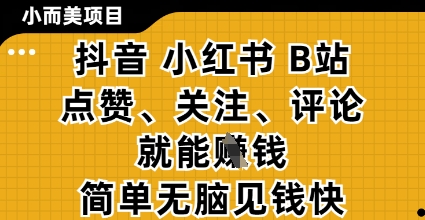 小而美的项目，抖音小红书B站视频点赞、关注、评论就能挣钱，简单无脑立见收益，妥妥的零撸项目【揭秘】-苍穹网创
