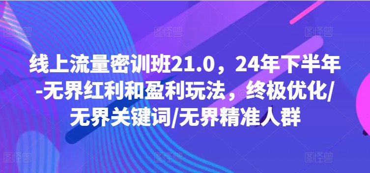 线上流量密训班21.0，24年下半年-无界红利和盈利玩法，终极优化/无界关键词/无界精准人群-苍穹网创