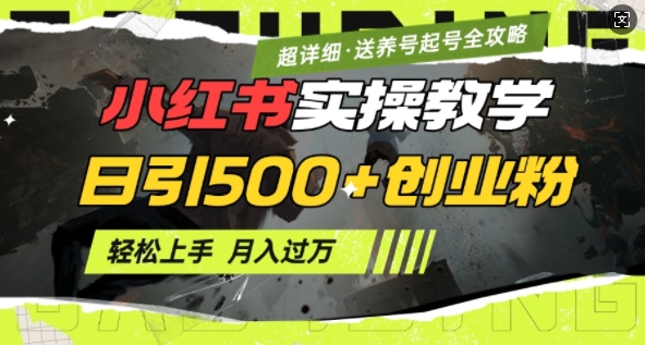 2月小红书最新日引500+创业粉实操教学【超详细】小白轻松上手，月入1W+，附小红书养号起号SOP-苍穹网创