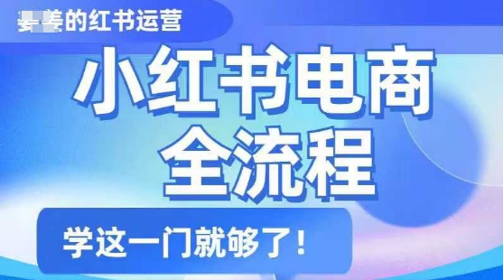 小红书电商全流程，精简易懂，从入门到精通，学这一门就够了-苍穹网创