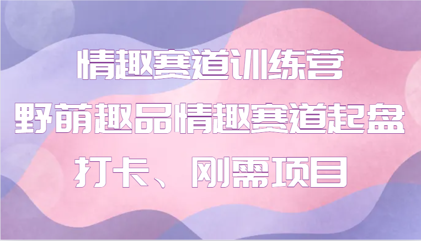 情趣赛道训练营 野萌趣品情趣赛道起盘打卡、刚需项目-苍穹网创