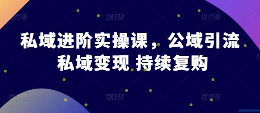 私域进阶实操课，公域引流 私域变现 持续复购-苍穹网创