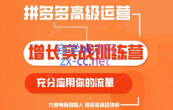 大麦老师·拼多多单品爆款打造课程(更新6月)-苍穹网创