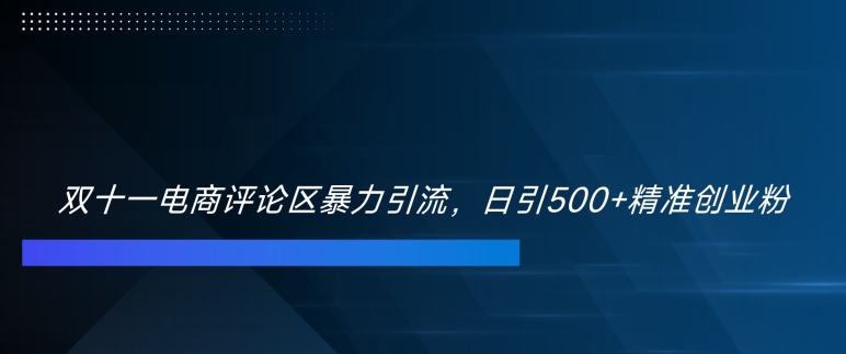 双十一电商评论区暴力引流，日引500+精准创业粉【揭秘】-苍穹网创