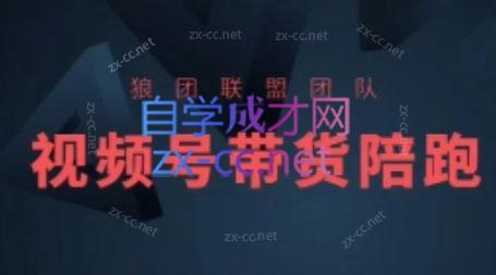 狼团联盟·2024视频号带货-苍穹网创
