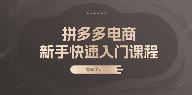 拼多多电商新手快速入门课程：涵盖基础、实战与选款，助力小白轻松上手-苍穹网创