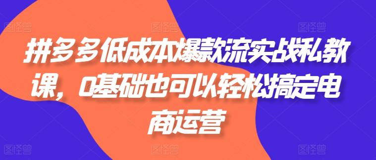 拼多多低成本爆款流实战私教课，0基础也可以轻松搞定电商运营-苍穹网创