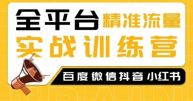 全平台精准流量实战训练营，百度微信抖音小红书SEO引流教程-苍穹网创