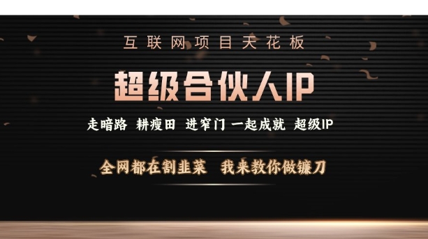 互联网项目天花板，超级合伙人IP，全网都在割韭菜，我来教你做镰刀【仅揭秘】-苍穹网创