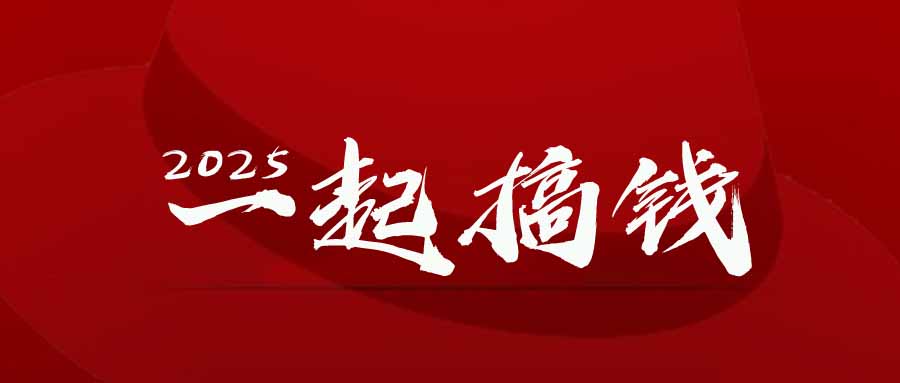 2025年，请“不择手段”去搞钱!-苍穹网创